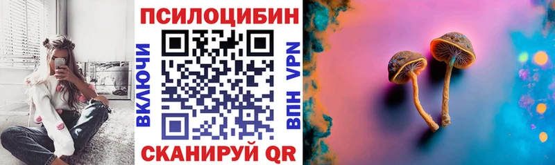 наркошоп  Яхрома  Галлюциногенные грибы Psilocybe 